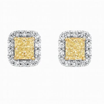 photo_2025-10-24 02.26.22